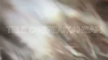 Sepi Bukan Sapi Ngewe Dalam Kamar Mandi