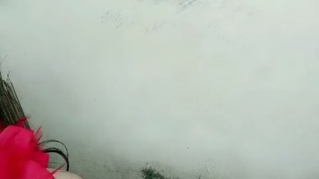 Tante Cindy Jepit Kontol Pake Susu